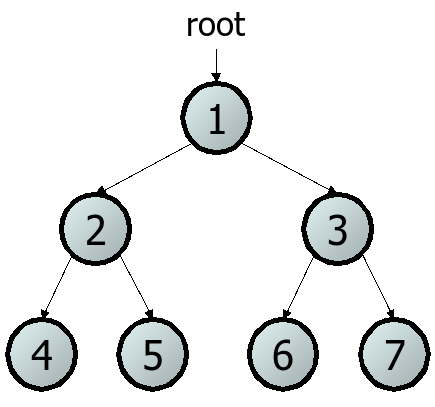 binary tree